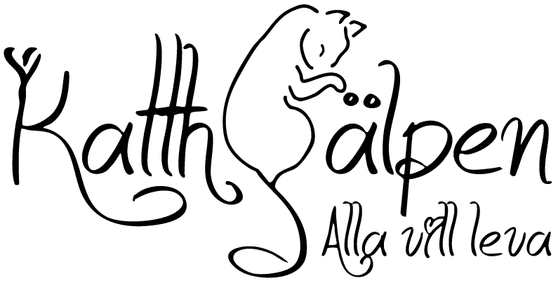 Katthjälpen Sundsvall – startsida